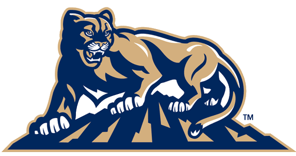 Brigham Young Cougars 1999-2004 Alternate Logo v2 iron on transfers for fabric